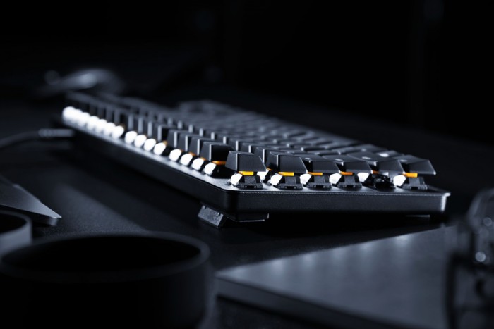 Die neue Blackwidow Lite von Razer (Bild: Razer)